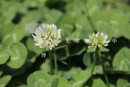 檢察院對犯罪嫌疑人申請排非情況下有哪些處理？